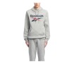 SUDADERA gris REEBOK TRENT 2 COL.LOGO HOODY 100240549