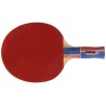 SOFTEE RAQUETA TENIS DE MESA
