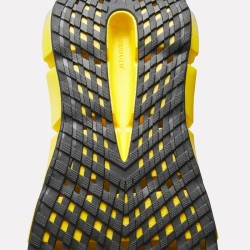 Zapatilla para Running para HOMBRE REEBOK FLOATZIG 2