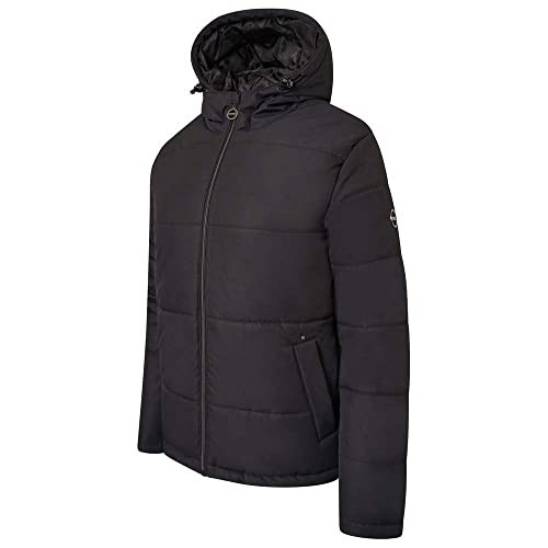 DARE2B-Luxuriate Jacket-800