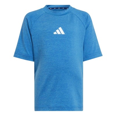 Conjunto Azul  Camiseta y Pantalon Adidas azul JR