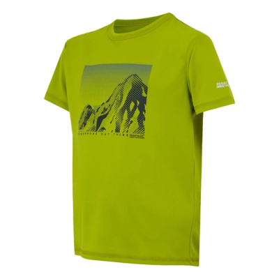 Camiseta manga corta  Verde Regatta  AlvaradoIX  RKT162-4EH  UNISEX JUNIOR  VERDE
