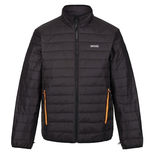 Softshell REGATTA-Wentwood VIII-RMP359 HZT-NEGRO