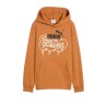 Sudadera marron Puma marron JR