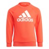 ADIDAS CHANDAL BRIRED