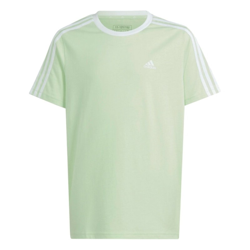 Camiseta Verde ADIDAS SEGRSP JUNIOR IS2630