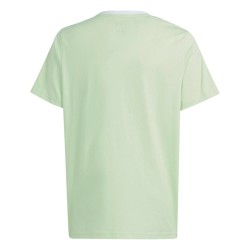 Camiseta Verde ADIDAS SEGRSP JUNIOR IS2630