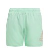 BAÑADOR ADIDAS-BOS CLX SL-IC7697 VERDE HOMBRE PLAYA