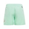 BAÑADOR ADIDAS-BOS CLX SL-IC7697 VERDE HOMBRE PLAYA