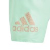 BAÑADOR ADIDAS-BOS CLX SL-IC7697 VERDE HOMBRE PLAYA