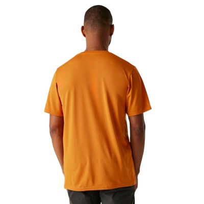 Camiseta marron  Regatta   HOMBRE  MARRON