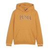 PUMA SUDADERA CON CAPUCHA NIÑO