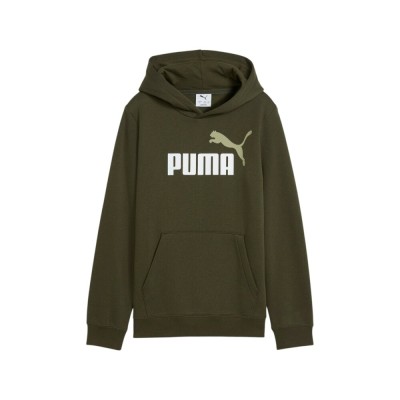 Sudadera verde PUMA ESS 2 COLOR LOGO HOODIE FL 685822-70